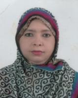 Mirza Shaheen Sultana