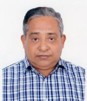 Mohammod Shahidullah